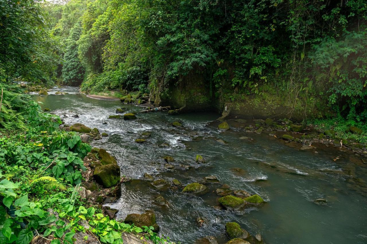 The Pyramid Ubud River Villas 帕洋安 外观 照片