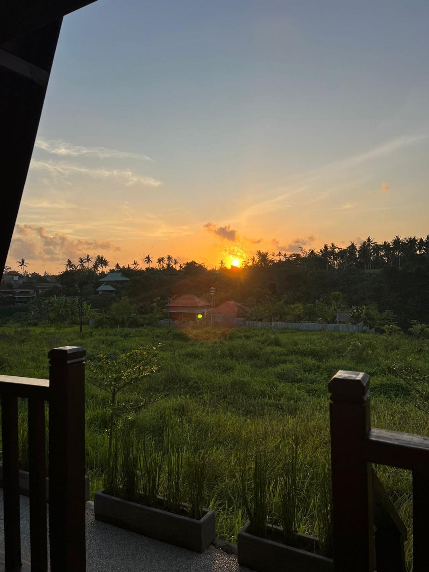 The Pyramid Ubud River Villas 帕洋安 外观 照片