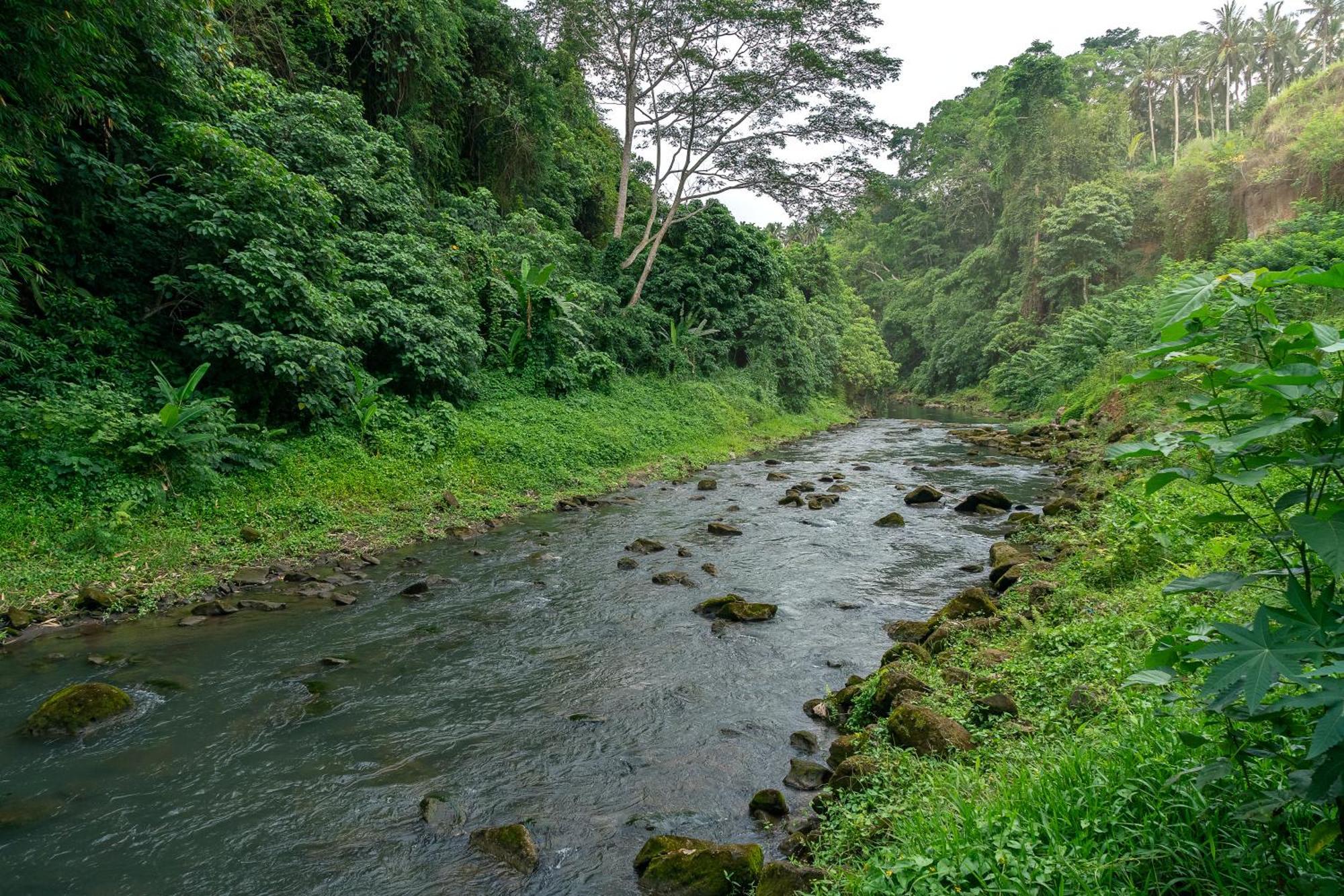 The Pyramid Ubud River Villas 帕洋安 外观 照片